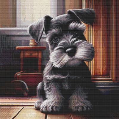 (image for) Schnauzer Puppy